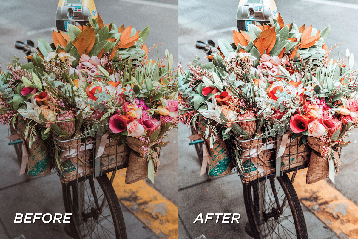 Wasabi LR Presets + Video Filters, a Preset Add-On by TheWayfarerShoppe (Photo 4 of 7)