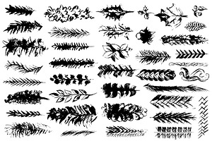 Winter Collection Vector Brushes.