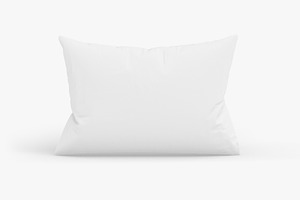 Rectangular Bed Pillow 3D Model