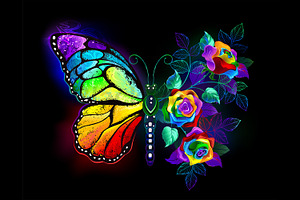 Rainbow Flower Butterfly