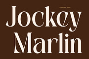CS Brigant – Modern Serif Font, a Serif Font by Craft Supply Co. (Thumbnail 4 of 8)