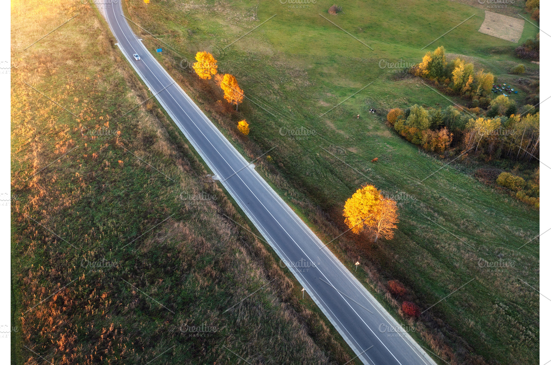 Aerial view of winding road in, a Transportation Photo by den-belitsky
