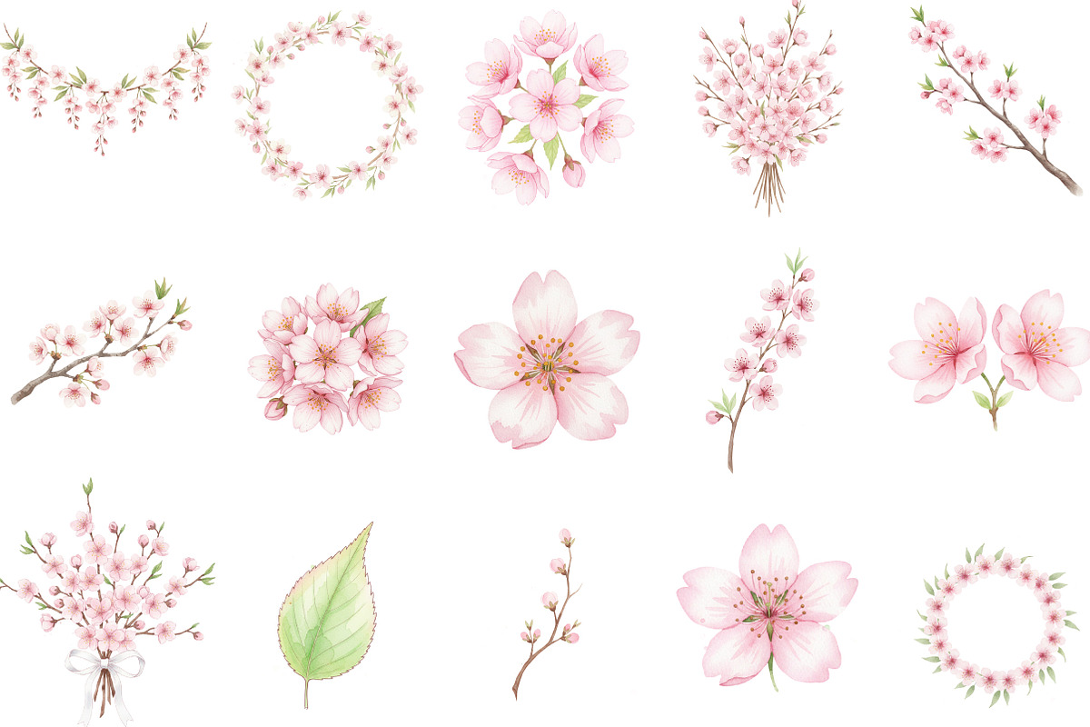 Watercolor Sakura Blossoms Clipart, an Illustration by Designking (Photo 2 of 5)