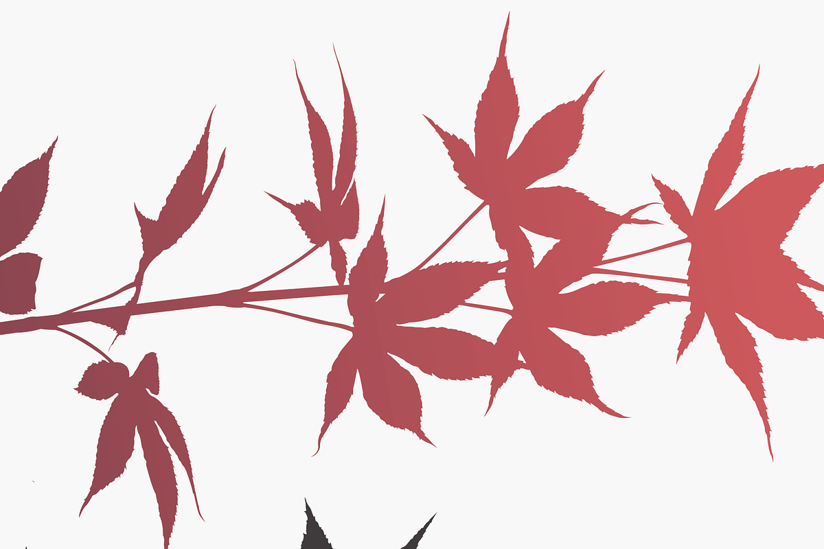 Herbarium: Set 1, a Decorative Illustration by Texture Fabrik (Photo 3 of 19)