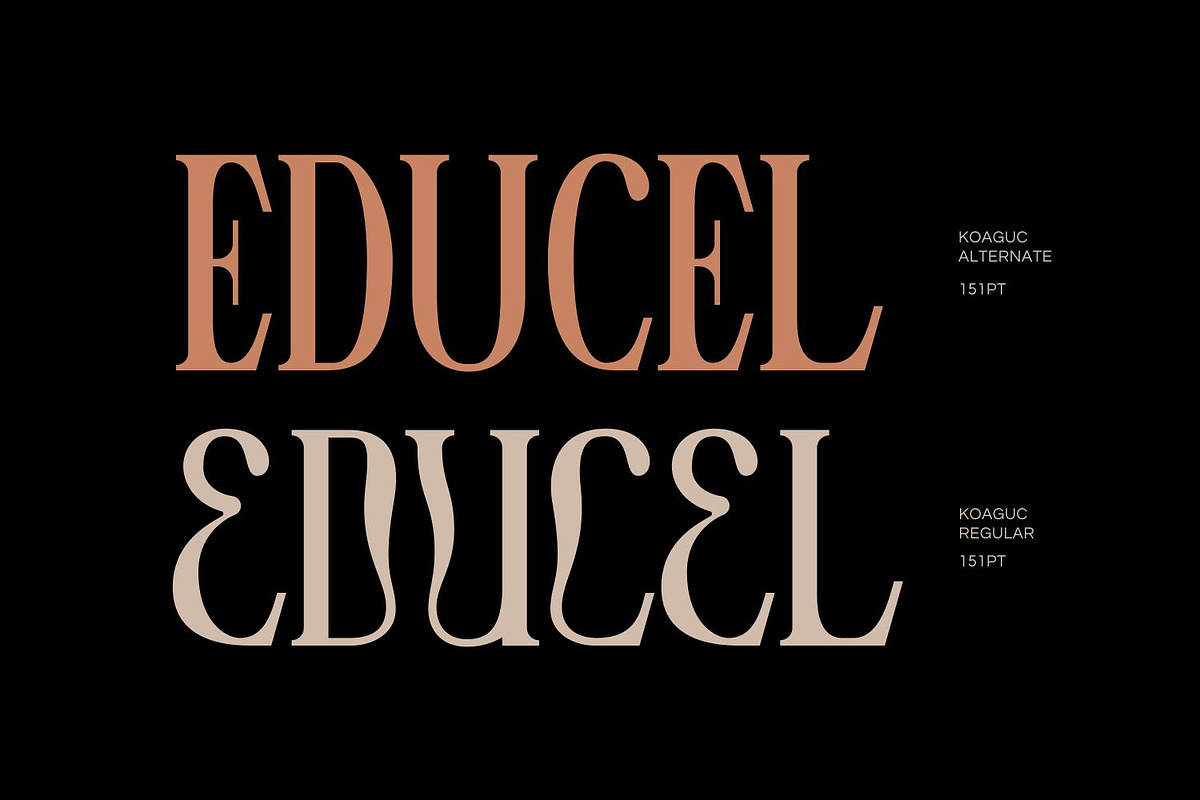 Koaguc - Beautiful Serif Font, a Serif Font by Imoodev (Photo 3 of 5)