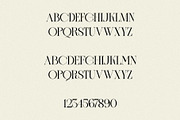 BLACK EAGLE - Modern Display Serif, a Serif Font by Mikhail Fukurou (Thumbnail 7 of 8)
