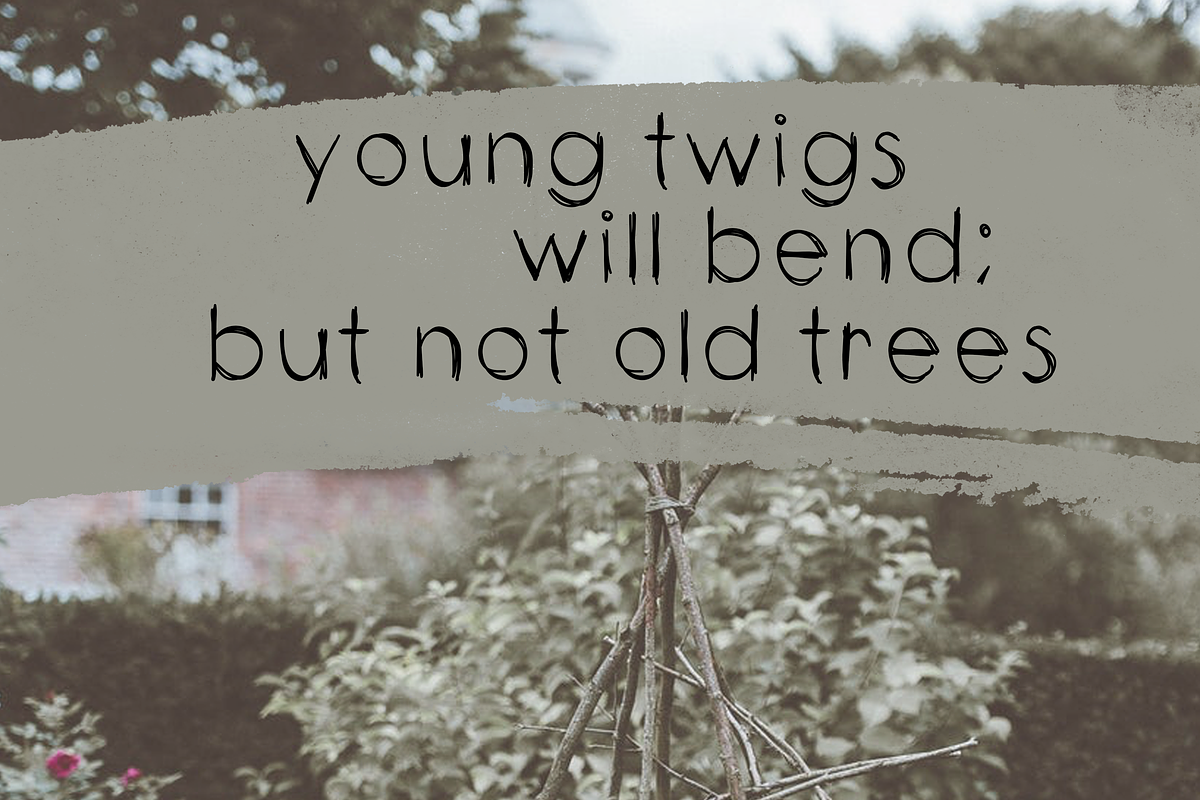 Twigs - A Handwritten Scribble Font preview 5