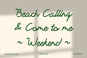 Vignetta - Casual Script Monoline, a Script Font by Pandeka Studio (Thumbnail 3 of 9)