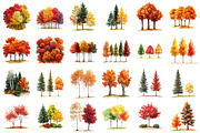 Watercolor Autumn Tree PNG Clipart, a Seasonal Illustration by designcity5 (Thumbnail 2 of 5)