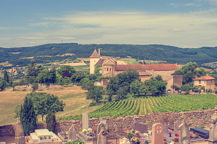 San Gimignano With Vineyards preview 6
