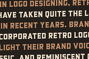 Mexiland - Vintage Font Duo, a Script Font by Grezline Studio (Thumbnail 3 of 12)