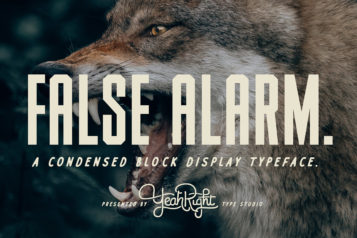 False Alarm Typeface, a Font by Yeahright Type (Photo 1 of 5)