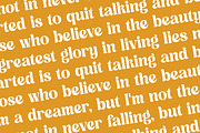 Dusty Brothe Groovy Serif Display, a Serif Font by timelesstype.co (Thumbnail 15 of 20)