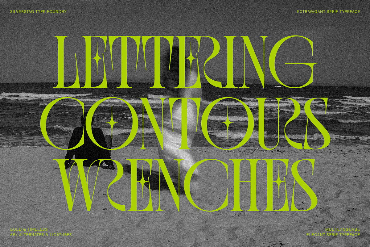 SLTF BOXROOM - Modern Serif Typeface, a Serif Font by SilverStag Type Foundry (Photo 22 of 30)