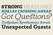 Anaphora - 22 Fonts, a Serif Font by Zetafonts (Thumbnail 2 of 11)