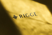 Logo Mockup on Paper Overlay Shadow, a Product Mockup by Asylab (Thumbnail 3 of 5)