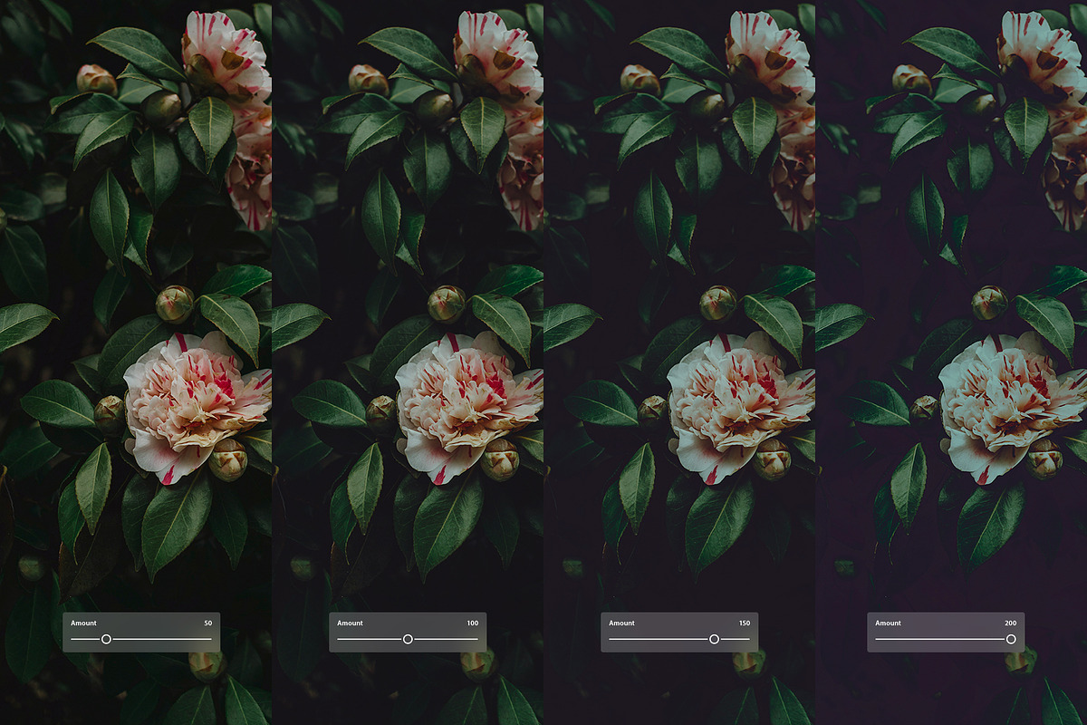 Fuji FP 100C, a Preset Add-On by colorituals (Photo 2 of 9)