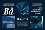 Saint Hardvest – High Contrast Serif, a Serif Font by roomspace creative lab (Thumbnail 7 of 11)