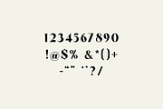 Minggola Modern Retro Serif Font, a Serif Font by UICreative (Thumbnail 9 of 13)