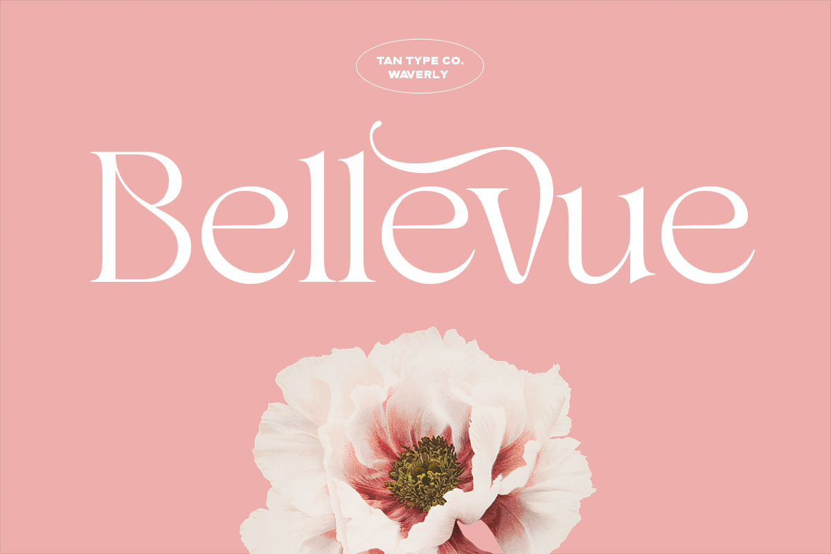 TAN - WAVERLY, a Serif Font by TanType (Photo 10 of 22)