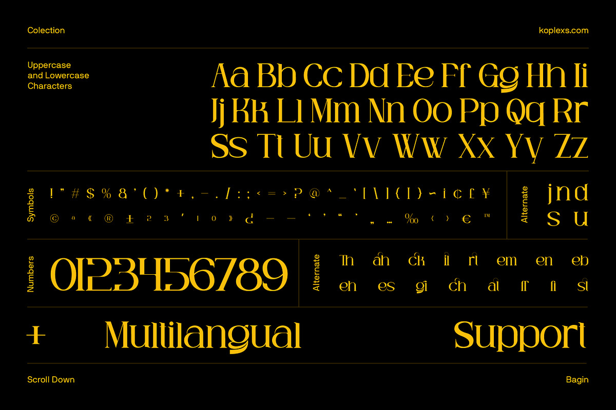 Bagin Font | Modern Editorial Serif, a Serif Font by Koplexs Studio (Photo 12 of 12)