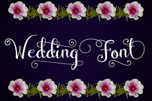 Wedding Font