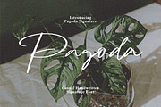 Pagoda - Casual Handwritten, a Handwritten Font by tebaltipislab (Thumbnail 1 of 9)