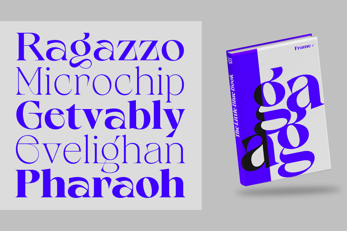 Calgera, a Serif Font by TRF Fonts (Photo 12 of 16)