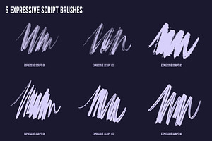 Procreate Expressive Script Brushes