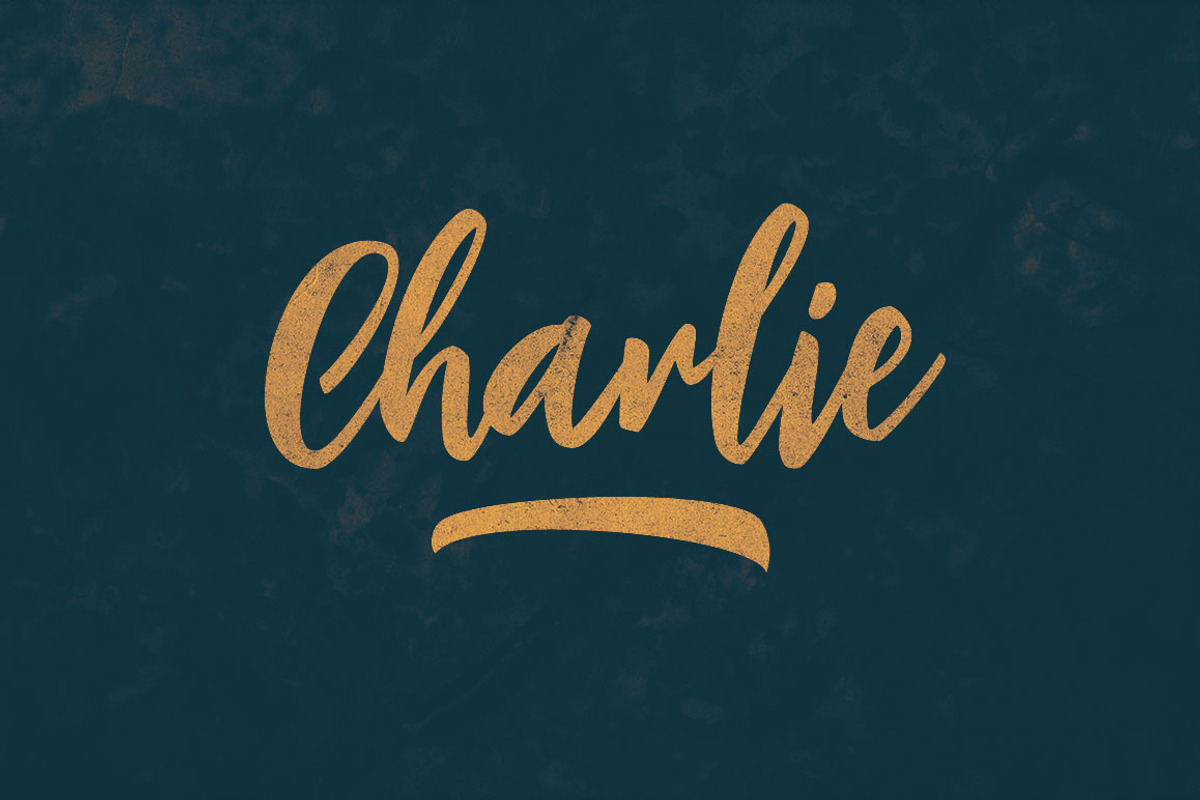 Charlie Script Font preview 4