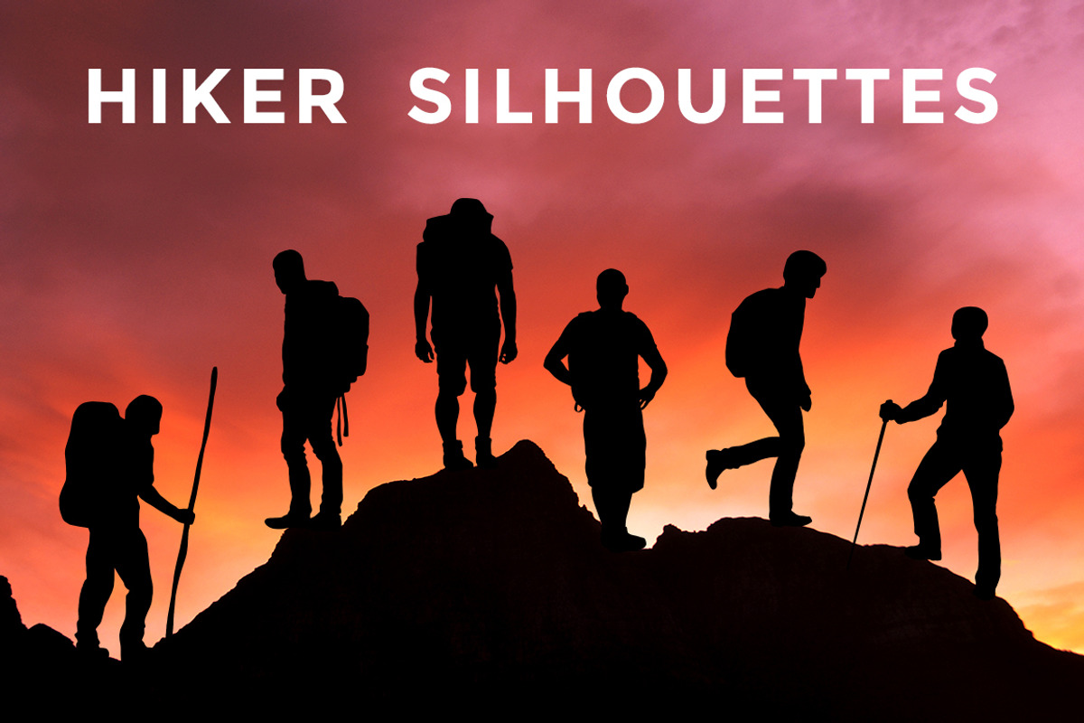 Vector Silhouette Bundle (50% off), an Animal Illustration by Build Interactive (Photo 6 of 9)