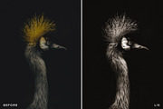 15 Leica Lightroom Presets, a Preset Add-On by Lavinsky Art Store (Thumbnail 14 of 16)