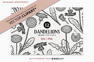 12 Dandelion Procreate Brush Stamps