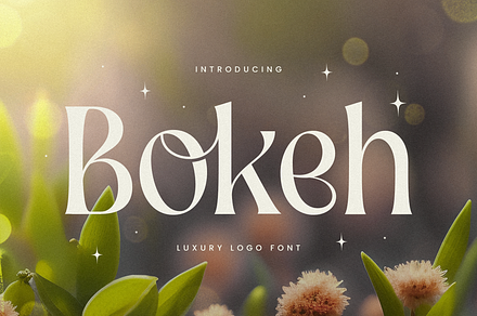 Bokeh - Luxury Logo Font