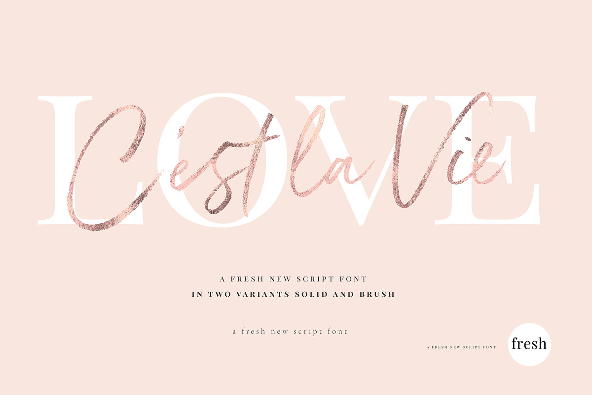 Belluga Brush Rough & Smooth, a Script Font by Nicky Laatz