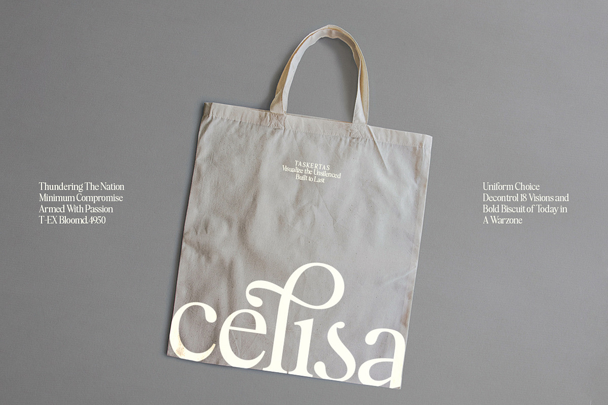 Bethany Elingston, a Serif Font by Attract Studio (Photo 8 of 17)