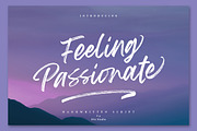 Feeling Passionate - Brush Font, a Script Font by din-studio.com (Thumbnail 1 of 11)