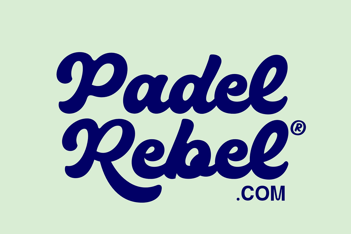Mickey - Classy Script Font, a Script Font by HRDR (Photo 7 of 12)