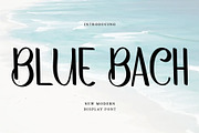 BLUE BEACH, a Handwritten Font by FreshTypeINK (Thumbnail 1 of 6)