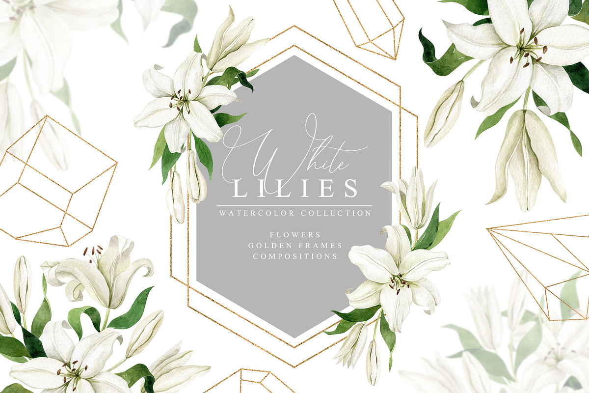 White Lilies Watercolor Set, an Illustration by Natalia Fedorova (Photo 1 of 12)