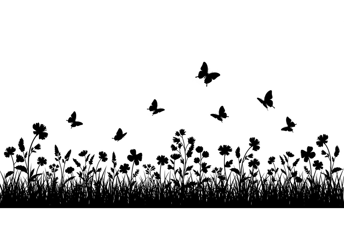 Floral Grass Border Silhouette Bundl, an Illustration by Amazin_art (Photo 47 of 51)