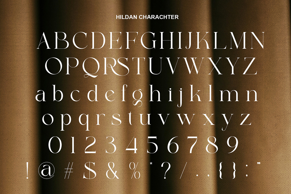Hildan Modern Ligature Serif, a Serif Font by Alfinart (Photo 6 of 10)