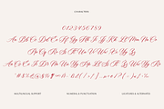 Luxury Romantic Elegant Script Font, a Script Font by Namara Creative Studio (Thumbnail 8 of 10)