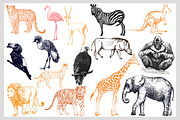 Animals, an Animal Illustration by Ecaterina Sciuchina (Thumbnail 3 of 5)