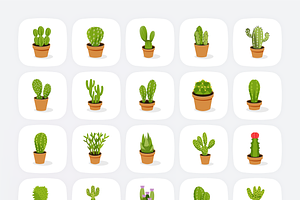 Cactus Vector Set