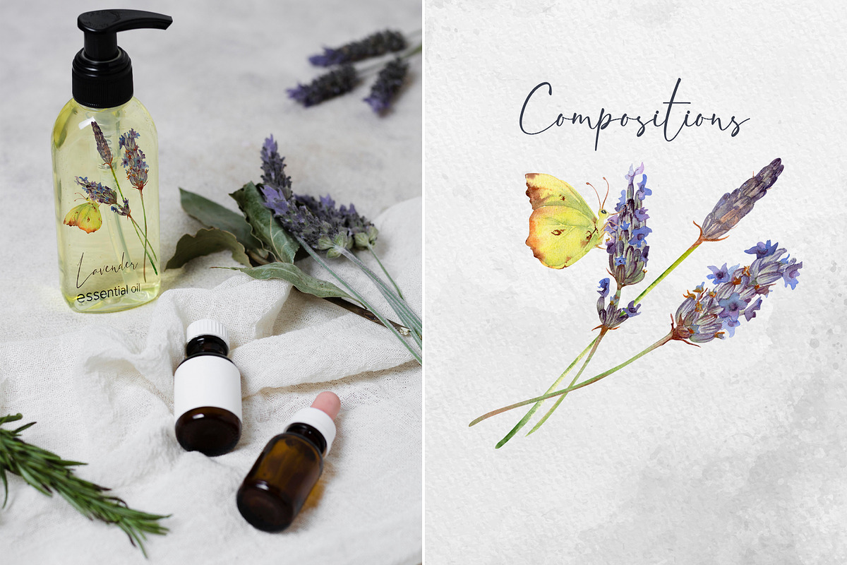 Lavender sunshine, an Object Illustration by MsFlaffy (Photo 5 of 12)
