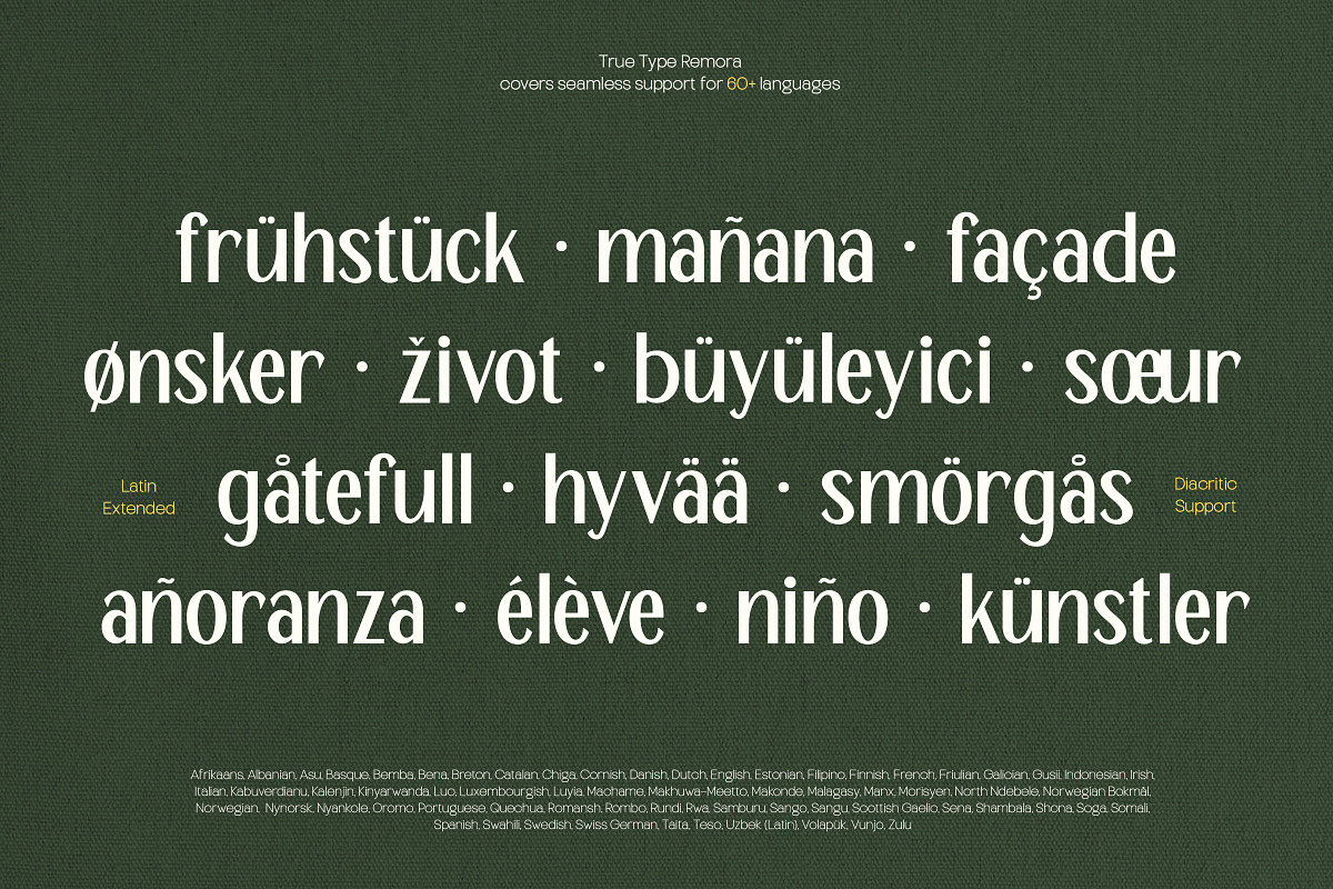 TT Remora – Modern Sans Display, a Sans Serif Font by truetype (Photo 15 of 15)