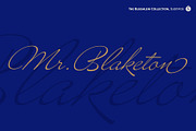 Mr Blaketon Pro, a Script Font by Sudtipos (Thumbnail 1 of 5)