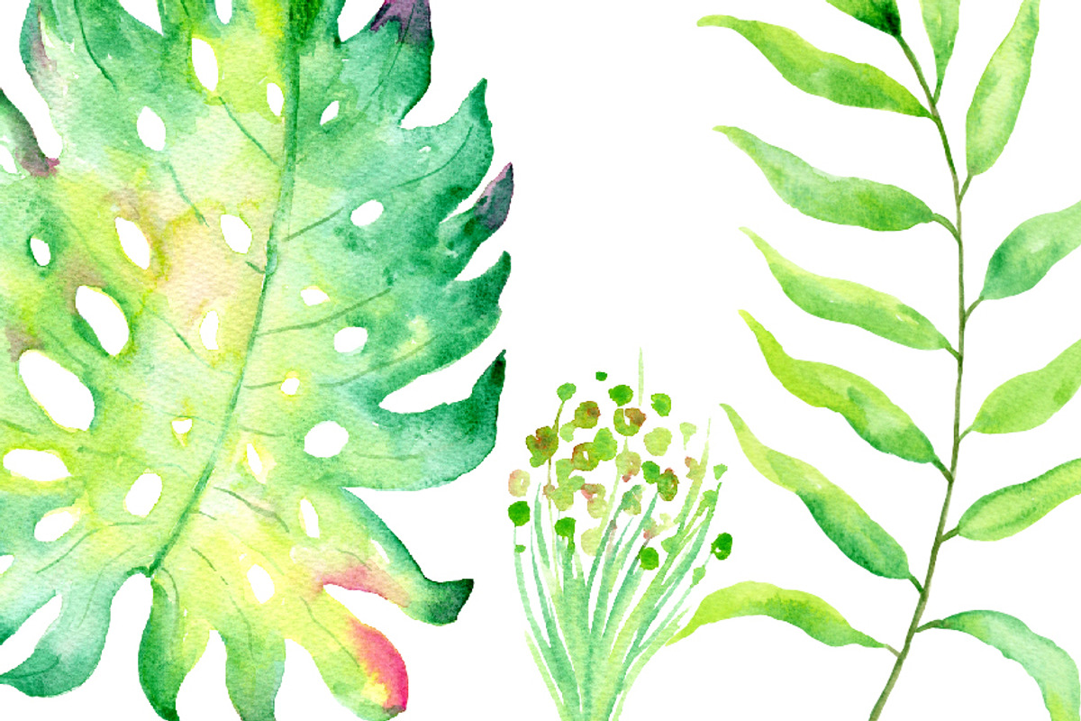 Watercolor Large Tropical Leaf, an Illustration by Corner Croft (Photo 4 of 4)