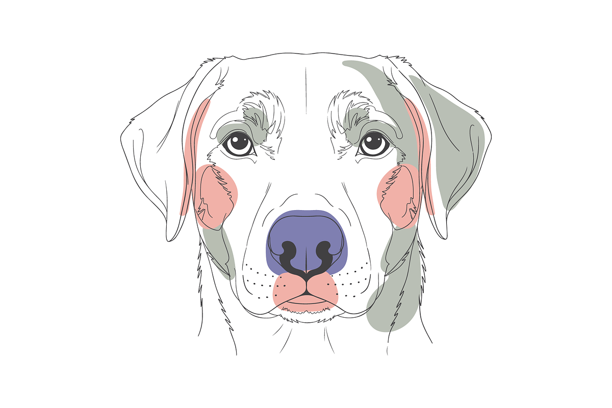 Pastel Line Art Dog Portrait Vector, an Animal Illustration by MkStudio